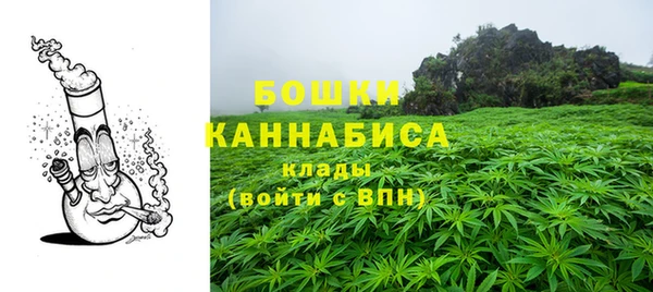 PSILOCYBIN Абаза