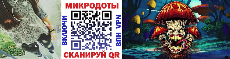 Галлюциногенные грибы Psilocybe  Клинцы 